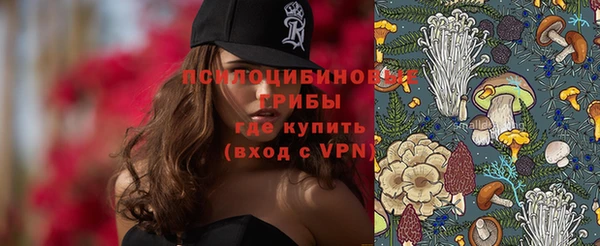 спиды Киреевск